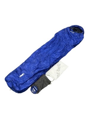 <?php echo get_the_title(); ?>