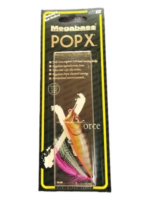 <?php echo get_the_title(); ?>