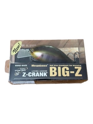 <?php echo get_the_title(); ?>