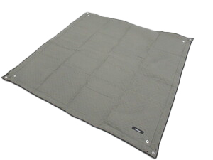 <?php echo get_the_title(); ?>